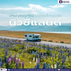 เรียนปริญญาโทนิวซีแลนด์