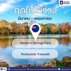 เรียนคอร์สวิชาชีพจบแล้วมีโอกาสขอพีอาร์นิวซีแลนด์