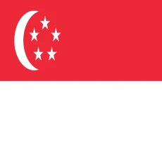 ทุนเรียนปริญญาตรีที่สิงคโปร์