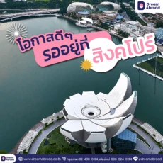 โปรโมชั่นเรียนภาษาสิงคโปร์